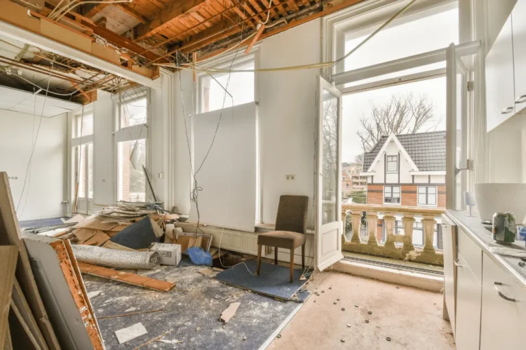 Home Renovation (1)