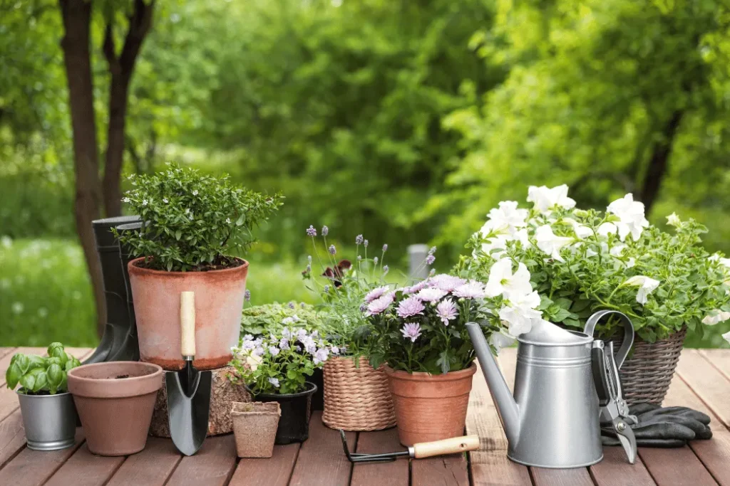 Home garden